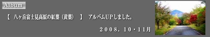 �A���o���t�o���܂����B