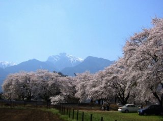 �����x�x�m�������̎l�G�@Album