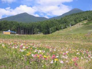 �x�m�������u���̗��v�@Album