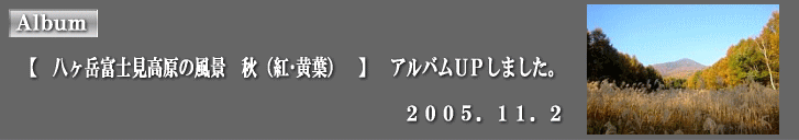 �A���o���t�o���܂����B