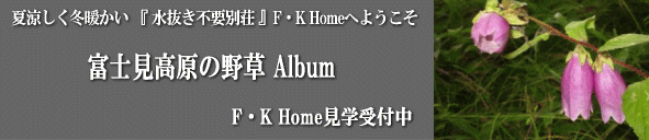 �悤����F�K Home�ց@�������s�v �S�V��^��X�_���Z��@�@�ė������~�g�����D�����ʑ��@���f���n�E�X���w��t��