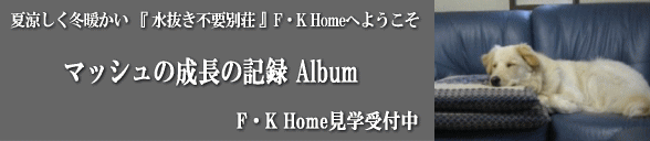 �悤����F�K Home�ց@�������s�v �S�V��^��X�_���Z��@�@�ė������~�g�����D�����ʑ��@���f���n�E�X���w��t��