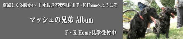 �悤����F�K Home�ց@�������s�v �S�V��^��X�_���Z��@�@�ė������~�g�����D�����ʑ��@���f���n�E�X���w��t��