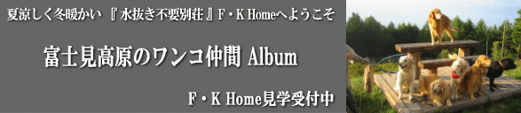 �悤����F�K Home�ց@�������s�v �S�V��^��X�_���Z��@�@�ė������~�g�����D�����ʑ��@���f���n�E�X���w��t��