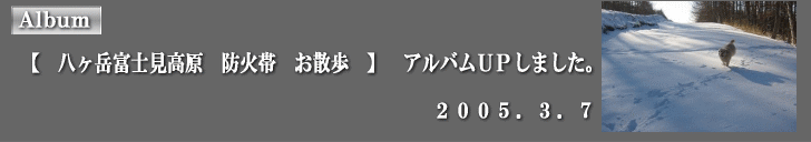 �A���o���t�o���܂����B