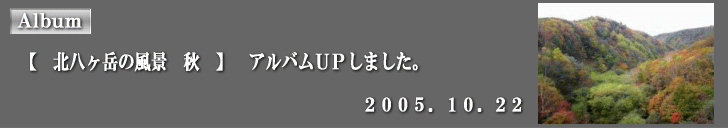 �A���o���t�o���܂����B