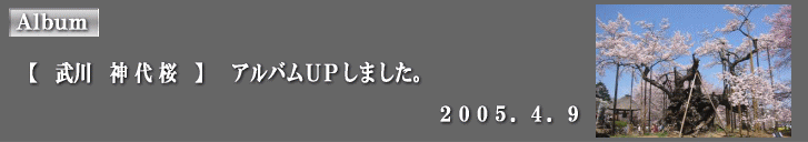 �A���o���t�o���܂����B