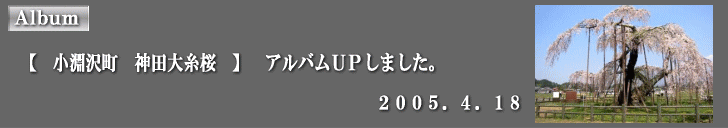 �A���o���t�o���܂����B