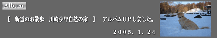 �A���o���t�o���܂����B