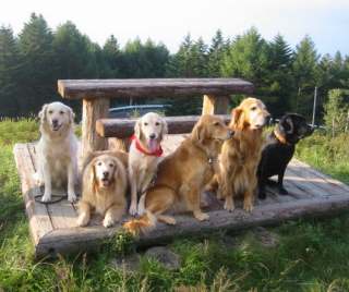 �x�m�������̃����R���ԁ@Album