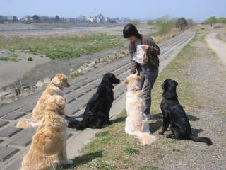 �}�b�V���̌Z��@Album