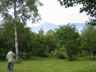 �x�m�������ʑ��n���U���@Album