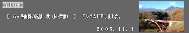 �A���o���t�o���܂����B