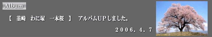 �A���o���t�o���܂����B